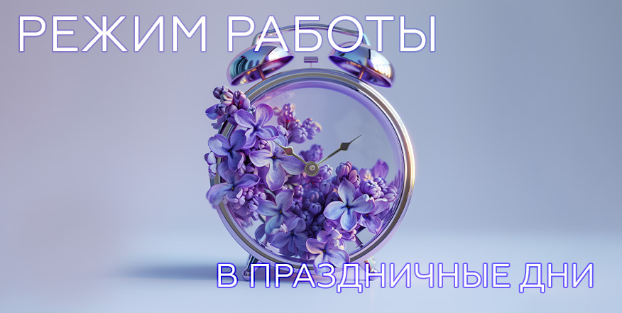 big picture media